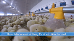 N. Lohmann GmbH Geflügelsysteme, Video